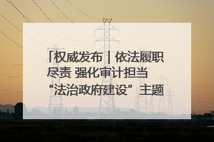 权威发布｜依法履职尽责 强化审计担当 “法治政府建设”主题系列新闻发布会市审计局专场召开