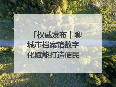 权威发布｜聊城市档案馆数字化赋能打造便民服务新模式