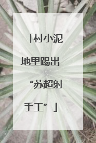 村小泥地里踢出“苏超射手王”