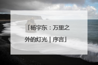 杨宇东：万里之外的灯光｜序言