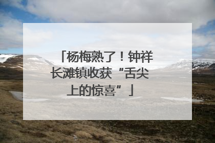 杨梅熟了！钟祥长滩镇收获“舌尖上的惊喜”