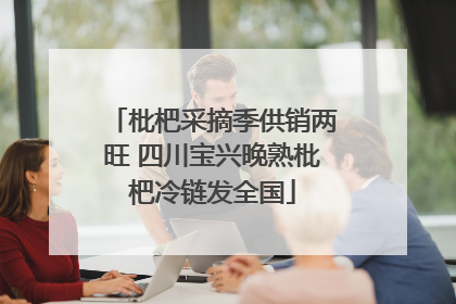 枇杷采摘季供销两旺 四川宝兴晚熟枇杷冷链发全国