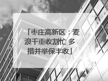 枣庄高新区：麦浪千重收割忙 多措并举保丰收