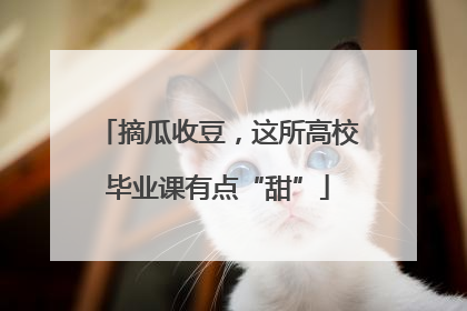 摘瓜收豆，这所高校毕业课有点“甜”