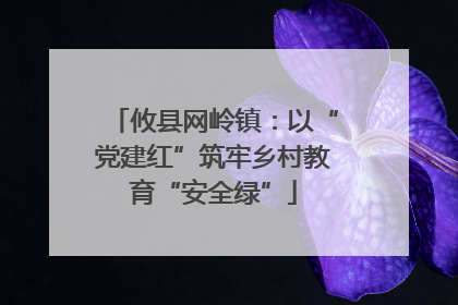 攸县网岭镇：以“党建红”筑牢乡村教育“安全绿”