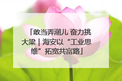 敢当弄潮儿 奋力挑大梁｜海安以“工业思维”拓宽共富路