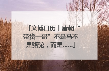 文博日历丨唐朝“带货一哥”不是马不是骆驼，而是……