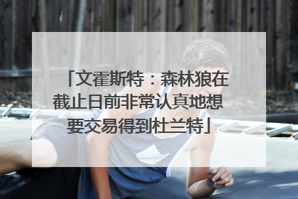 文霍斯特：森林狼在截止日前非常认真地想要交易得到杜兰特