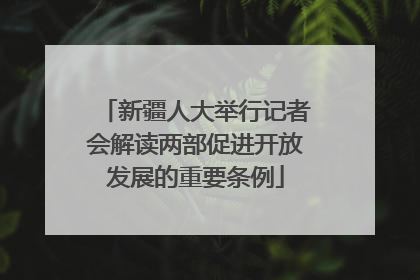新疆人大举行记者会解读两部促进开放发展的重要条例