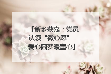 新乡获嘉：党员认领“微心愿” 爱心圆梦暖童心