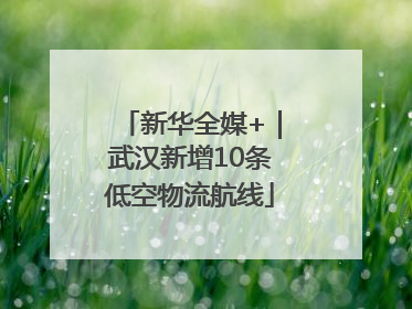 新华全媒+｜武汉新增10条低空物流航线