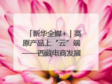 新华全媒+｜高原产品上“云”端——西藏电商发展一线观察