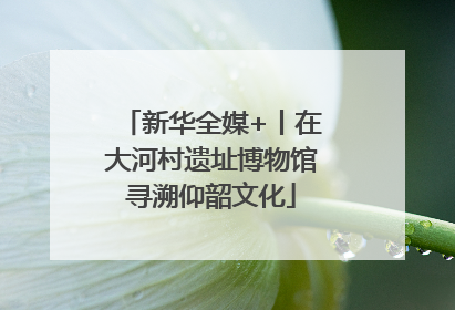新华全媒+丨在大河村遗址博物馆寻溯仰韶文化