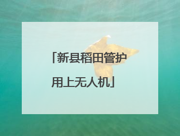 新县稻田管护用上无人机