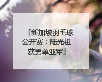 新加坡羽毛球公开赛：陆光祖获男单亚军