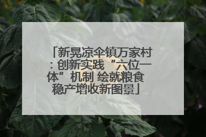 新晃凉伞镇万家村：创新实践“六位一体”机制 绘就粮食稳产增收新图景