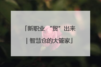 新职业 “贸”出来｜智慧仓的大管家