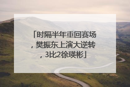 时隔半年重回赛场，樊振东上演大逆转，3比2徐瑛彬