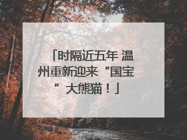 时隔近五年 温州重新迎来“国宝”大熊猫！