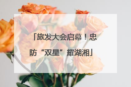 旅发大会启幕！忠防“双星”耀湖湘