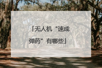 无人机“速成弹药”有哪些