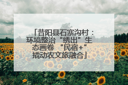 昔阳县石寨沟村：环境整治“绣出”生态画卷 “民宿+”撬动农文旅融合