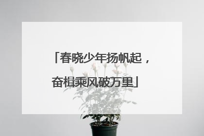 春晓少年扬帆起，奋楫乘风破万里