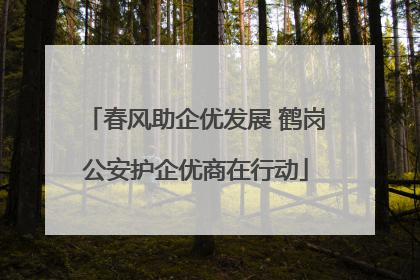春风助企优发展 鹤岗公安护企优商在行动