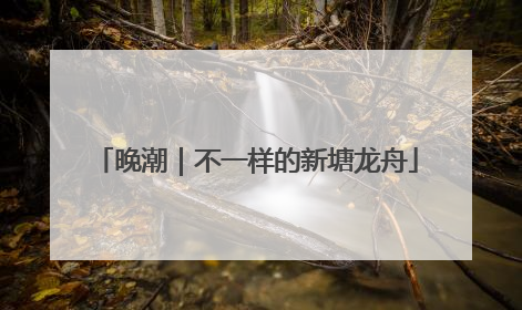 晚潮｜不一样的新塘龙舟