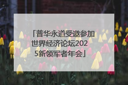 普华永道受邀参加世界经济论坛2025新领军者年会