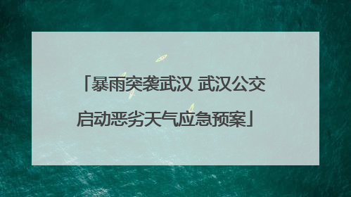 暴雨突袭武汉 武汉公交启动恶劣天气应急预案