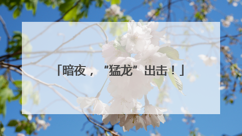 暗夜，“猛龙”出击！