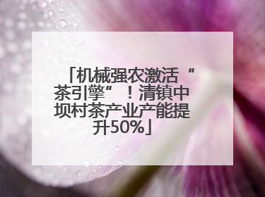 机械强农激活“茶引擎”！清镇中坝村茶产业产能提升50%