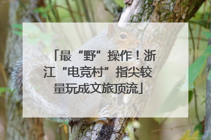 最“野”操作！浙江“电竞村”指尖较量玩成文旅顶流
