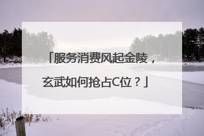 服务消费风起金陵，玄武如何抢占C位？