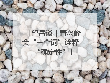 望岳谈｜青岛峰会“三个词”诠释“确定性”
