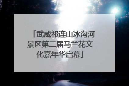 武威祁连山冰沟河景区第二届马兰花文化嘉年华启幕