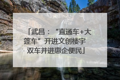 武昌：“直通车+大篷车”开进文创楼宇 双车并进惠企便民