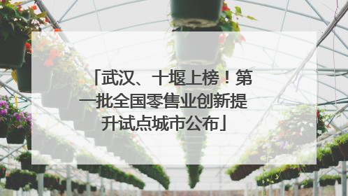 武汉、十堰上榜！第一批全国零售业创新提升试点城市公布