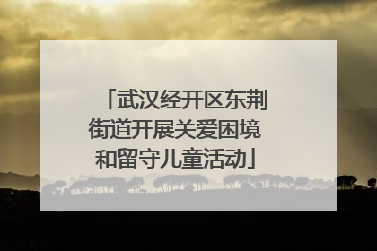 武汉经开区东荆街道开展关爱困境和留守儿童活动