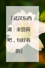 武汉东西湖：来赏荷吧，包好看的