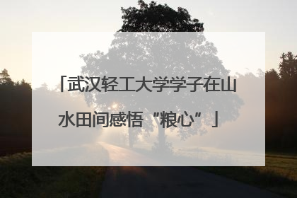 武汉轻工大学学子在山水田间感悟“粮心”