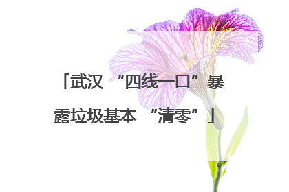武汉 “四线一口”暴露垃圾基本 “清零”