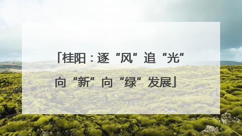 桂阳：逐“风”追“光” 向“新”向“绿”发展