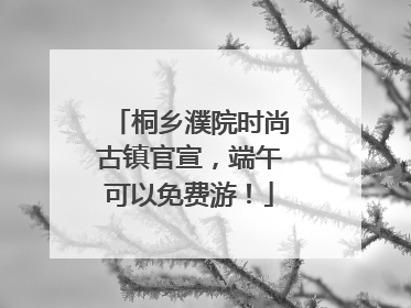 桐乡濮院时尚古镇官宣，端午可以免费游！