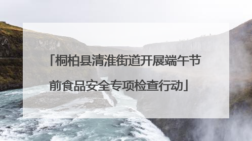 桐柏县清淮街道开展端午节前食品安全专项检查行动