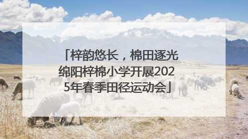 梓韵悠长，棉田逐光 绵阳梓棉小学开展2025年春季田径运动会