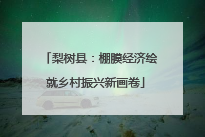 梨树县：棚膜经济绘就乡村振兴新画卷