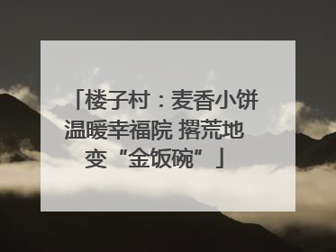楼子村：麦香小饼温暖幸福院 撂荒地变“金饭碗”