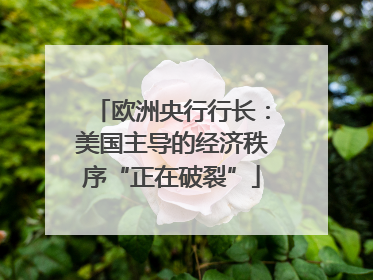 欧洲央行行长：美国主导的经济秩序“正在破裂”